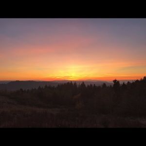 Meet your Posher, Bianca